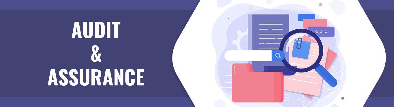 Chartered Accountant