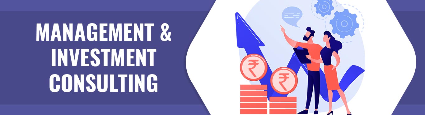 Chartered Accountant